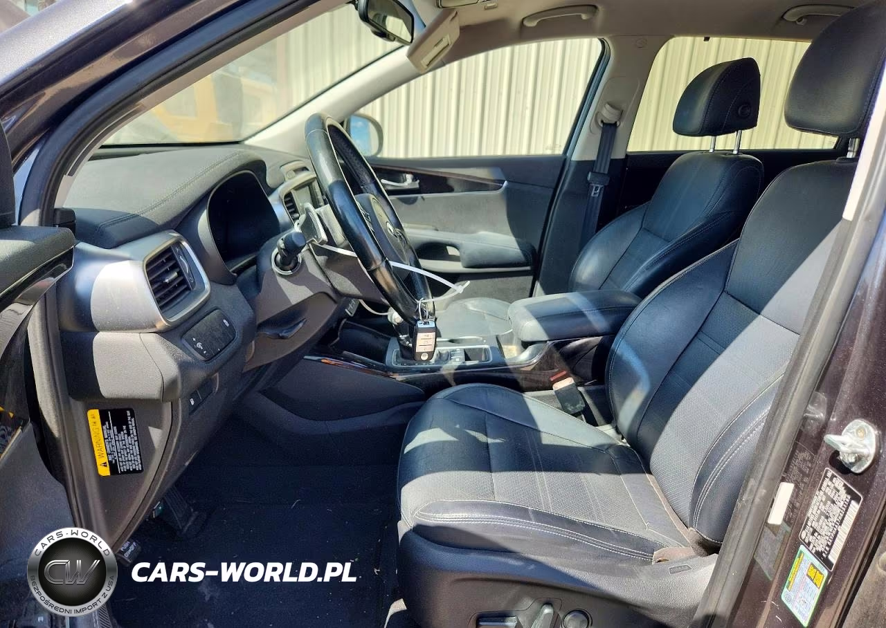 2017 Kia Sorento Ex VIN:5XYPH4A17HG251190 - 7