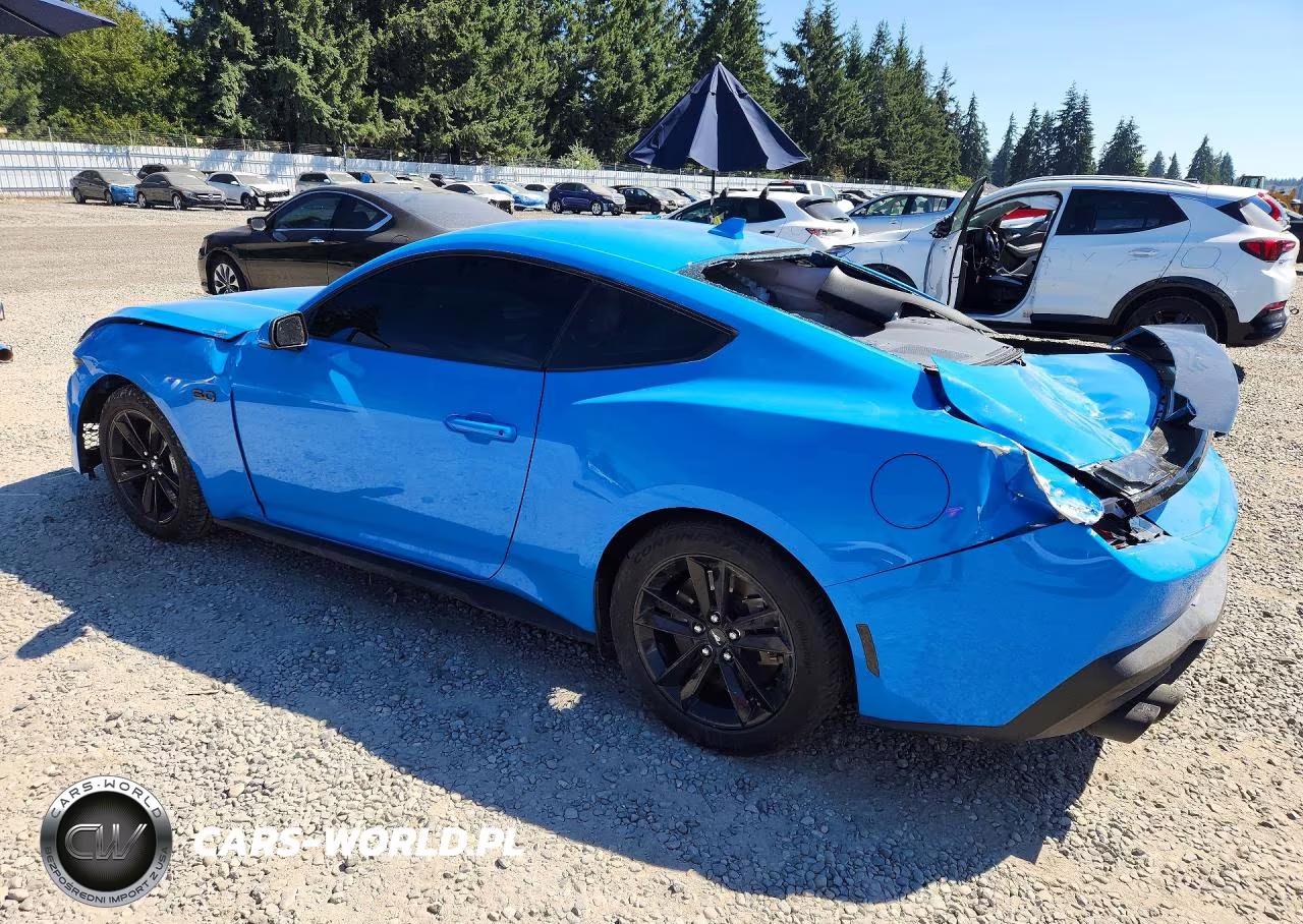 2024 Ford Mustang Gt VIN:1FA6P8CF3R5412682 - 2