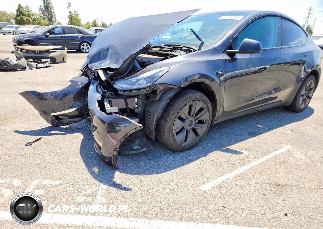 2025 Tesla Model Y VIN:7SAYGDED3SF224789 - 1