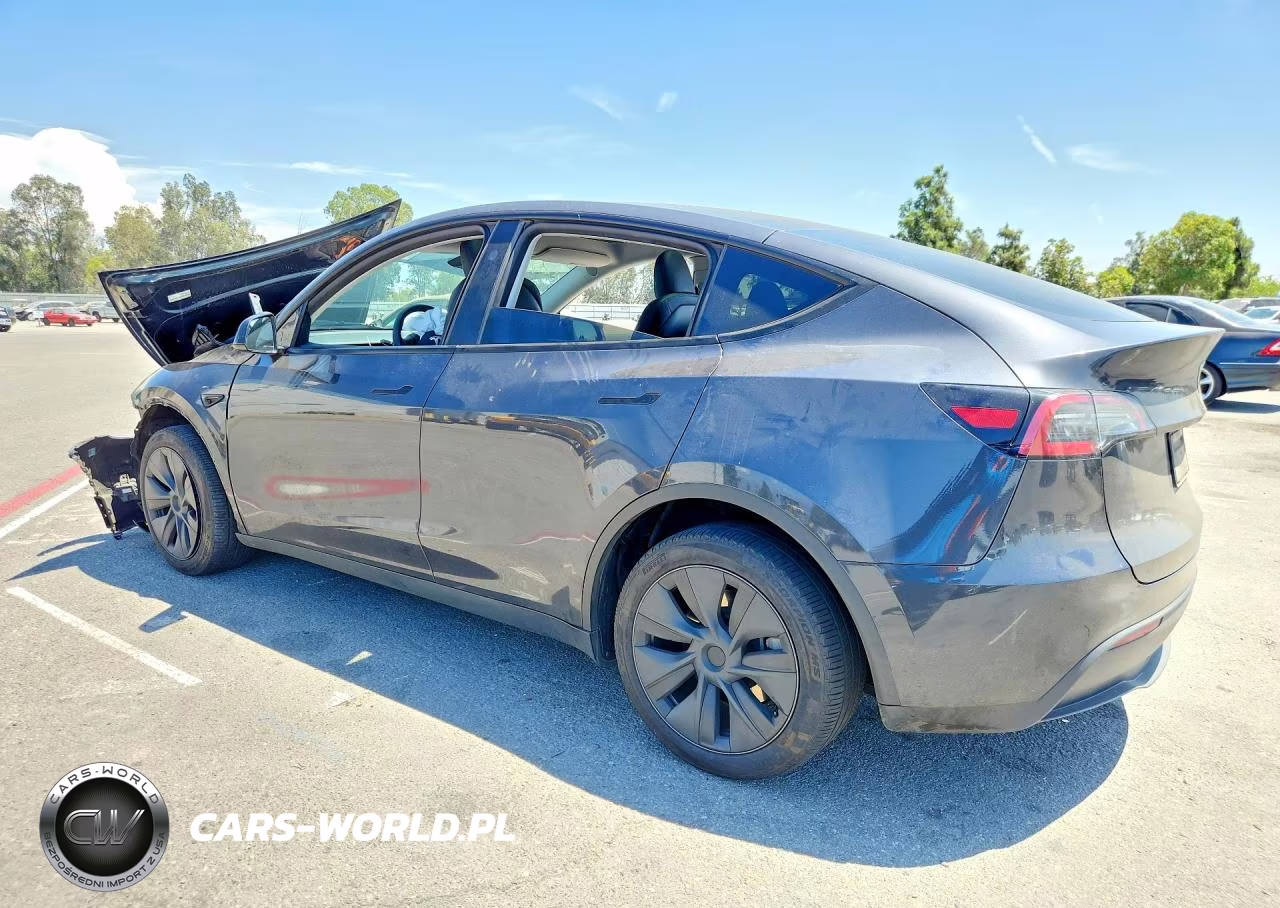 2025 Tesla Model Y VIN:7SAYGDED3SF224789 - 2
