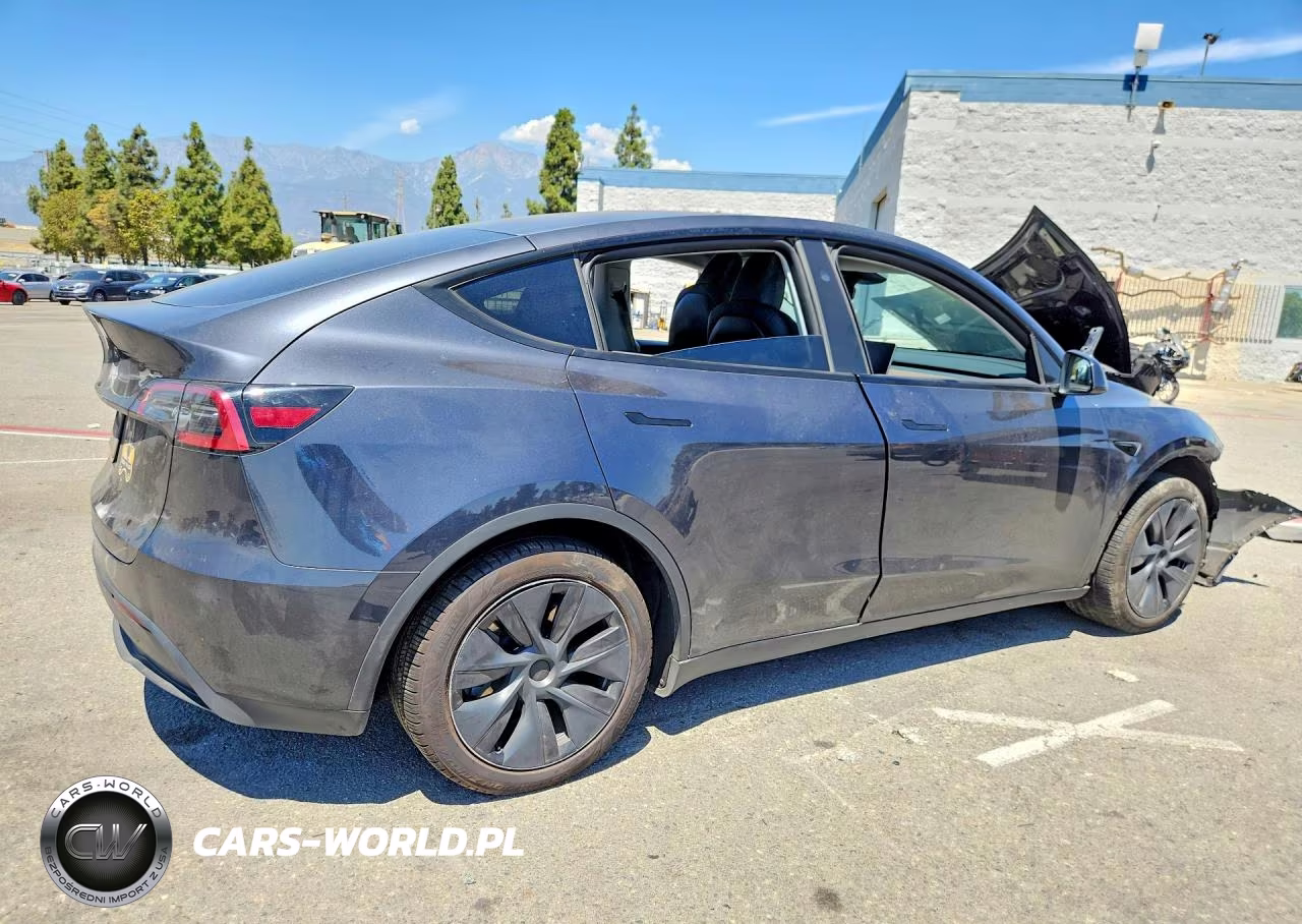 2025 Tesla Model Y VIN:7SAYGDED3SF224789 - 3