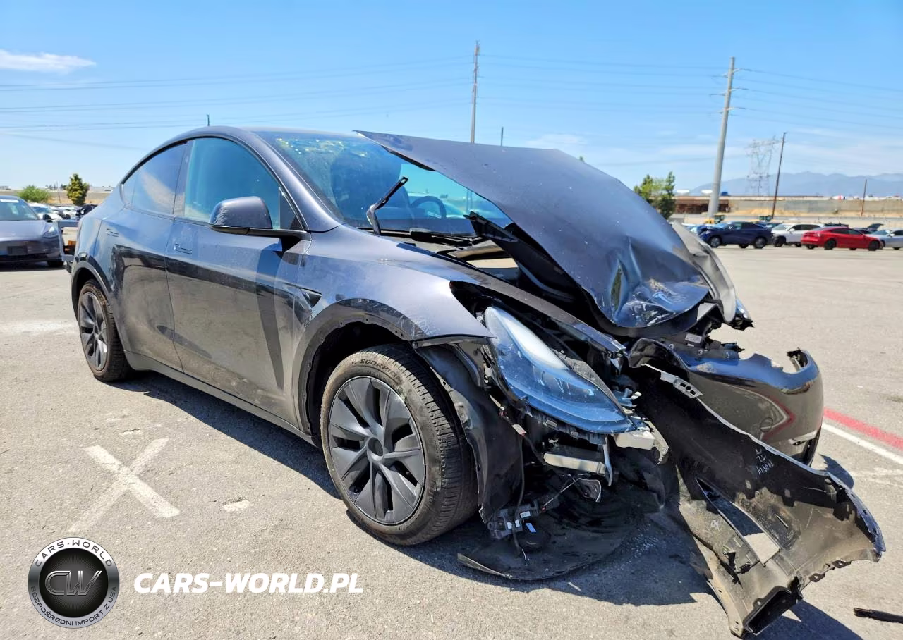 2025 Tesla Model Y VIN:7SAYGDED3SF224789 - 4