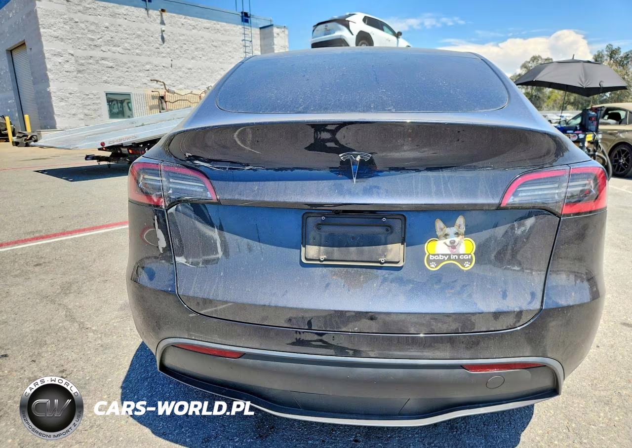 2025 Tesla Model Y VIN:7SAYGDED3SF224789 - 6
