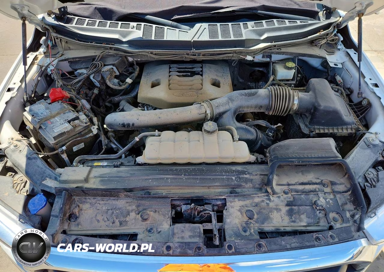 2021 Ford F150 Supercrew VIN:1FTFW1E83MKD48804 - 11
