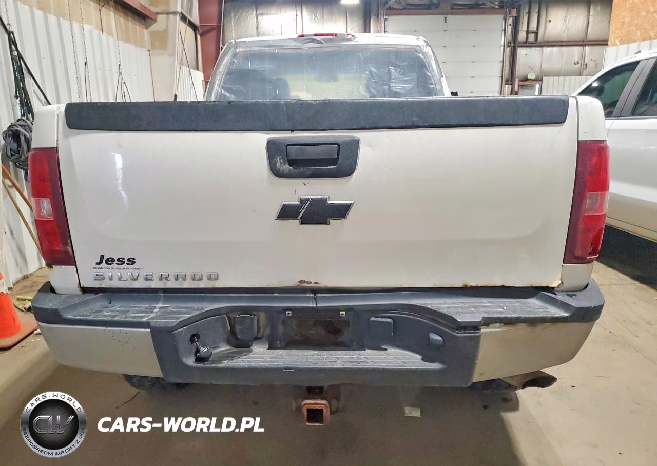 2009 Chevrolet Silverado K2500 Heavy Duty VIN:1GCHK49K99E105175 - 6