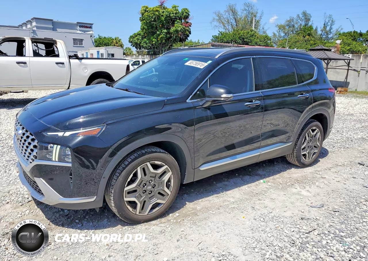 2023 Hyundai Santa Fe Limited VIN:5NMS44AL3PH484107 - 1
