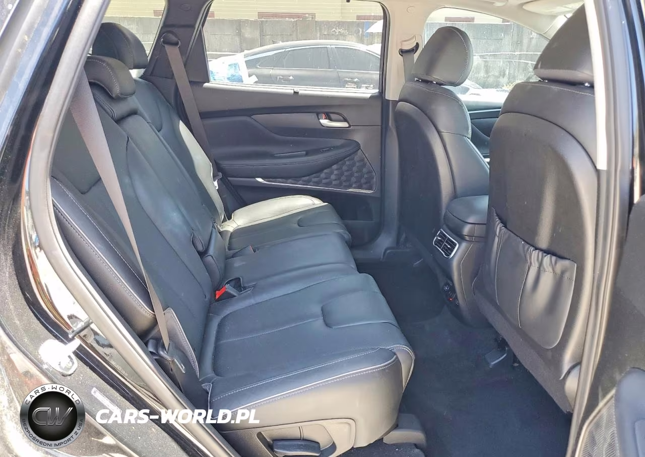 2023 Hyundai Santa Fe Limited VIN:5NMS44AL3PH484107 - 10