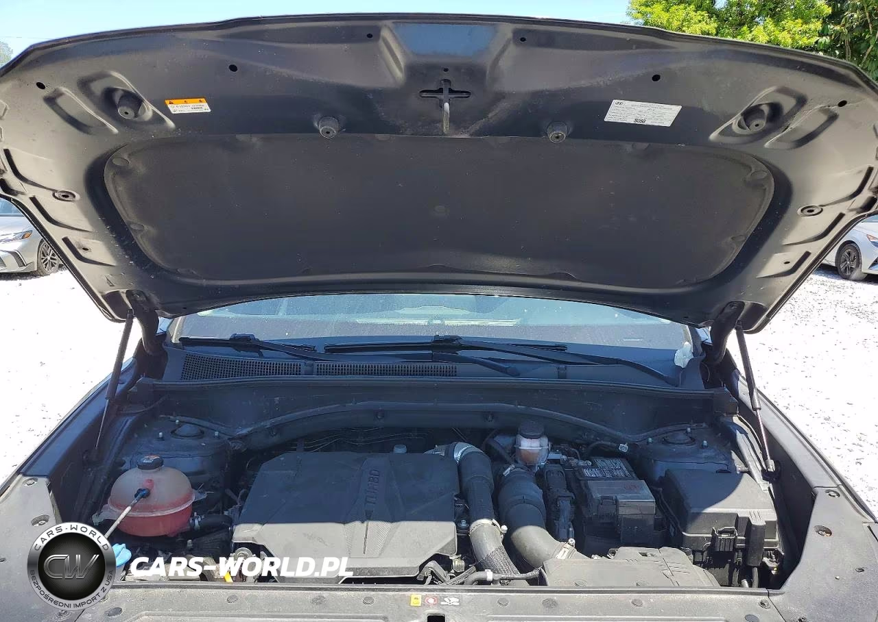 2023 Hyundai Santa Fe Limited VIN:5NMS44AL3PH484107 - 11