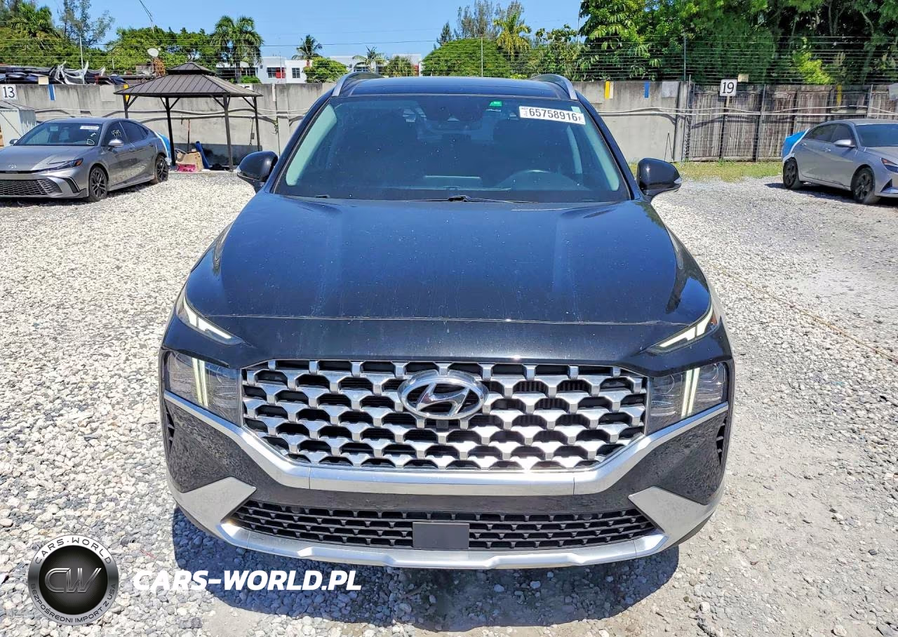 2023 Hyundai Santa Fe Limited VIN:5NMS44AL3PH484107 - 5