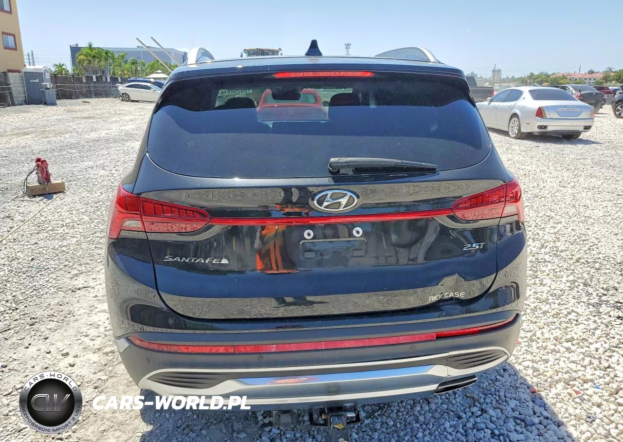 2023 Hyundai Santa Fe Limited VIN:5NMS44AL3PH484107 - 6