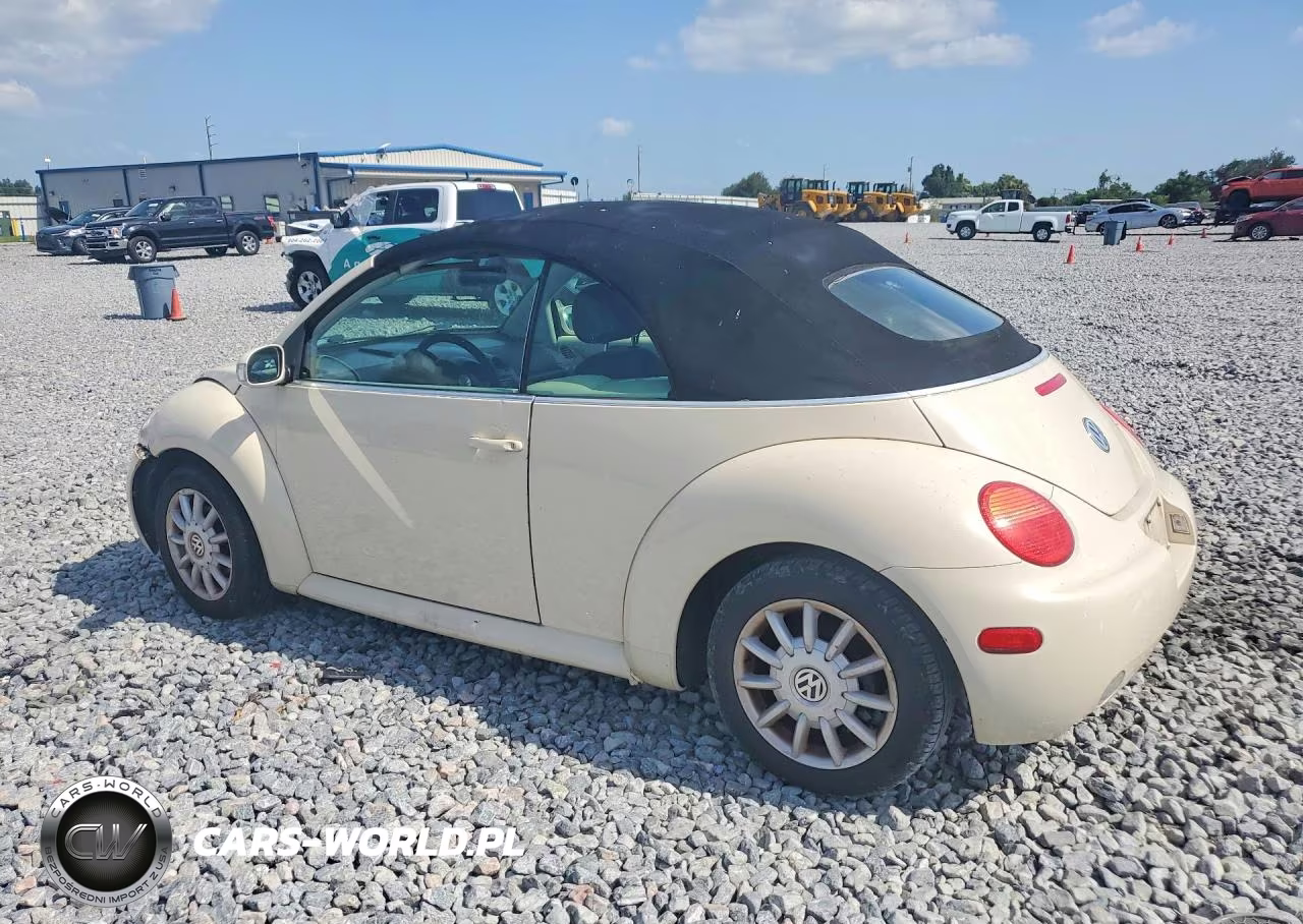 2005 Volkswagen New Beetle Gls VIN:3VWCM31Y05M354464 - 2