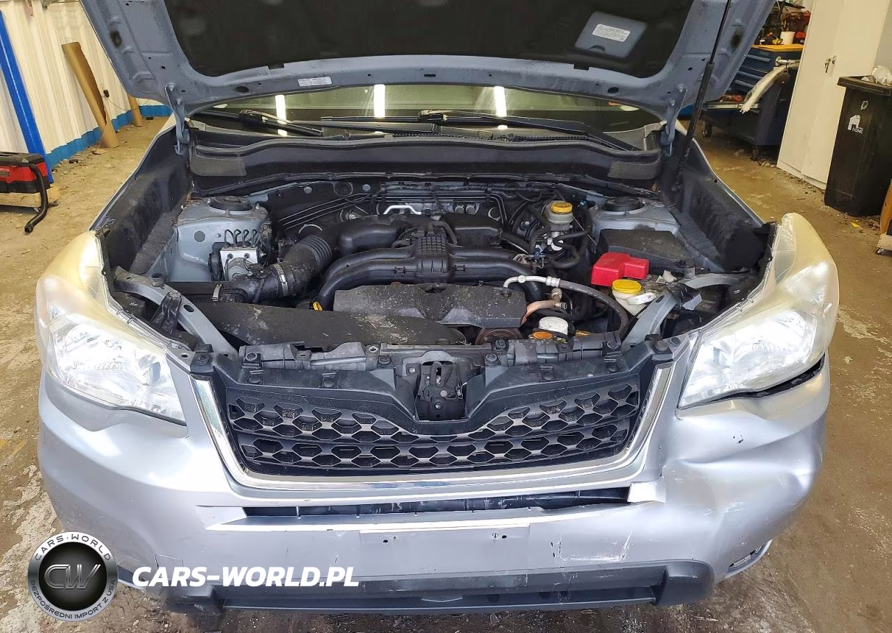 2015 Subaru Forester 2.5I VIN:JF2SJABC9FH451670 - 12