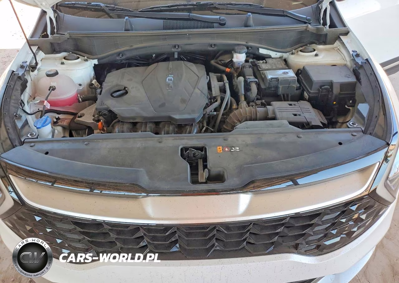 2024 Kia Sportage Ex VIN:5XYK3CDF7RG182707 - 12