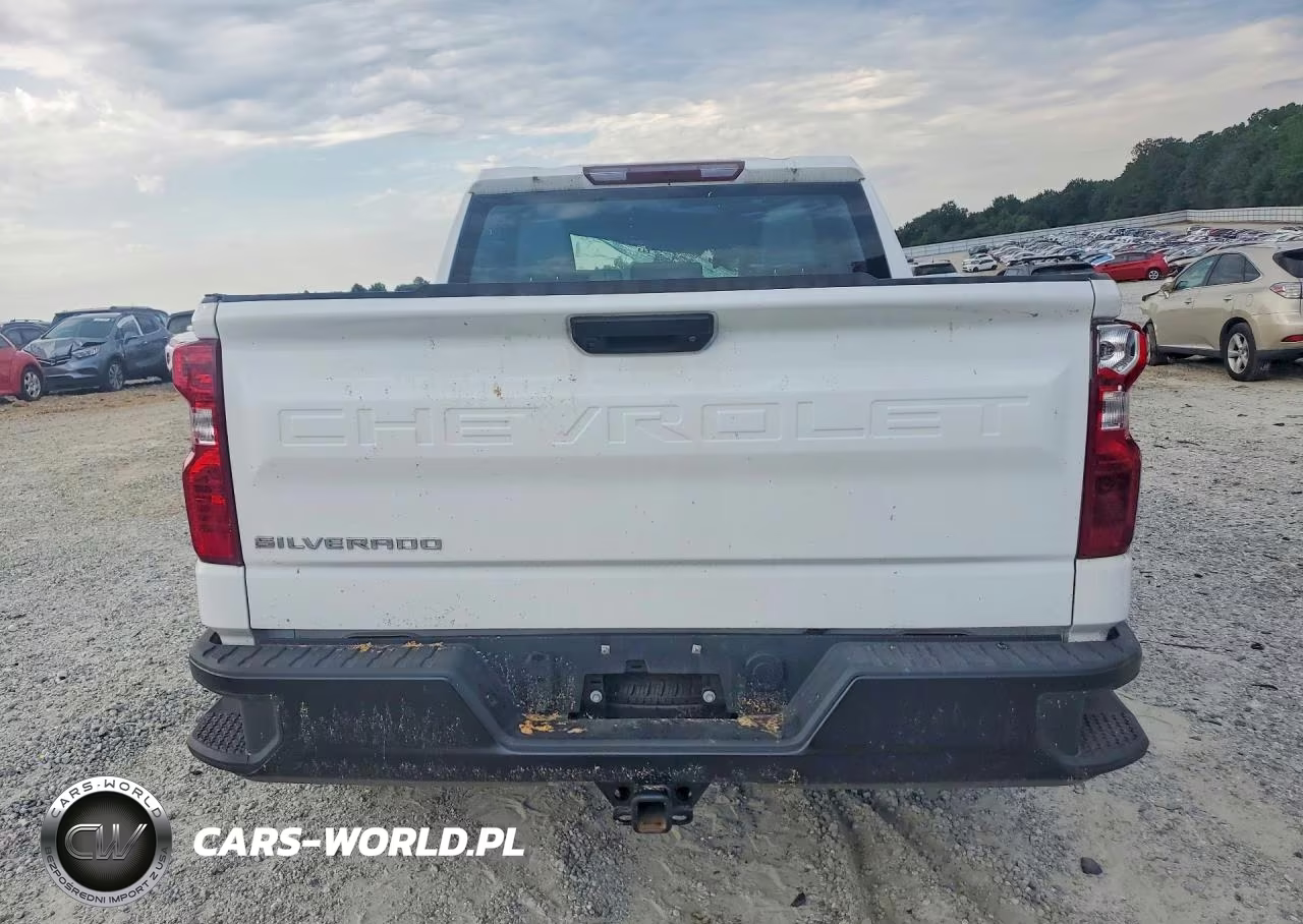 2025 Chevrolet Silverado K1500 VIN:2GCUKAED7S1150983 - 6