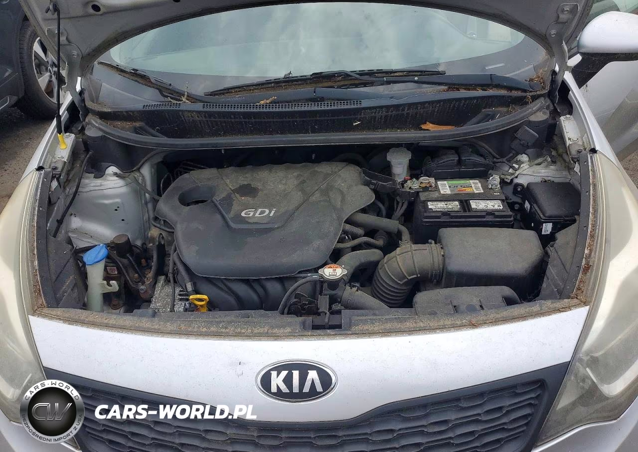 2014 Kia Rio Lx VIN:KNADM4A35E6397812 - 11