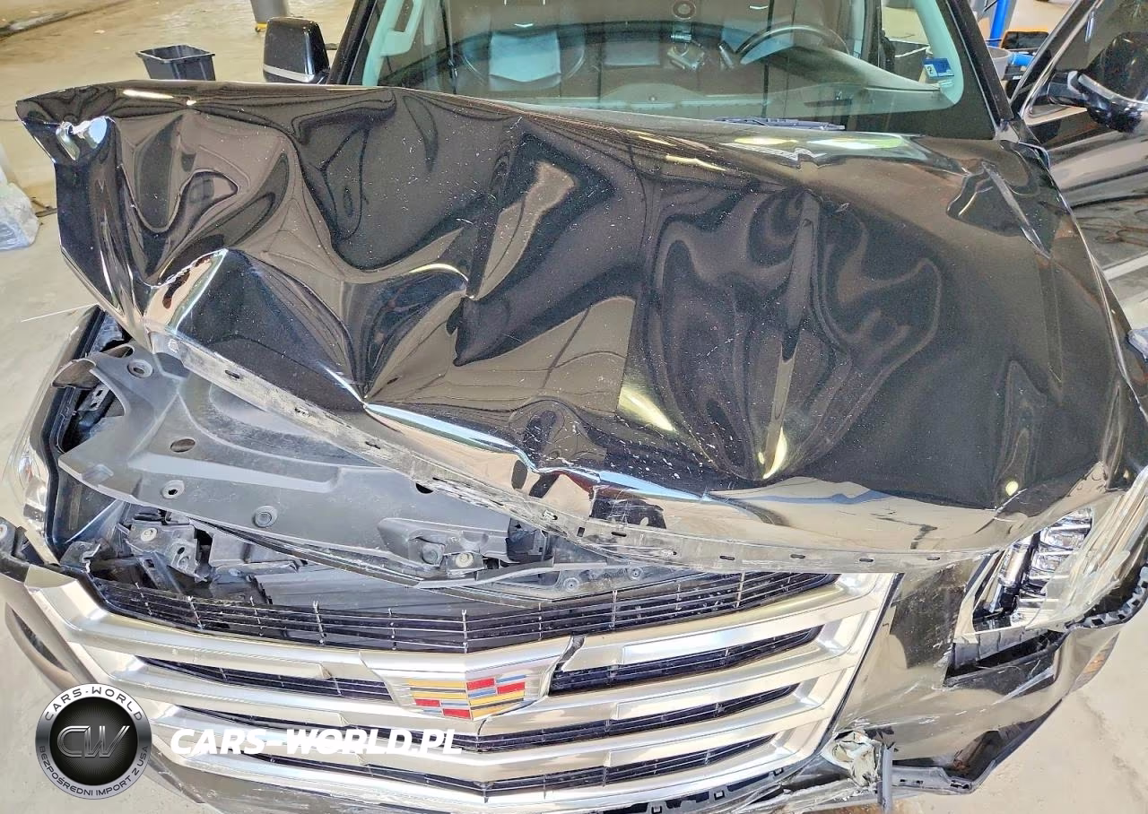 2018 Cadillac Escalade Esv Luxury VIN:1GYS4HKJ4JR317773 - 12