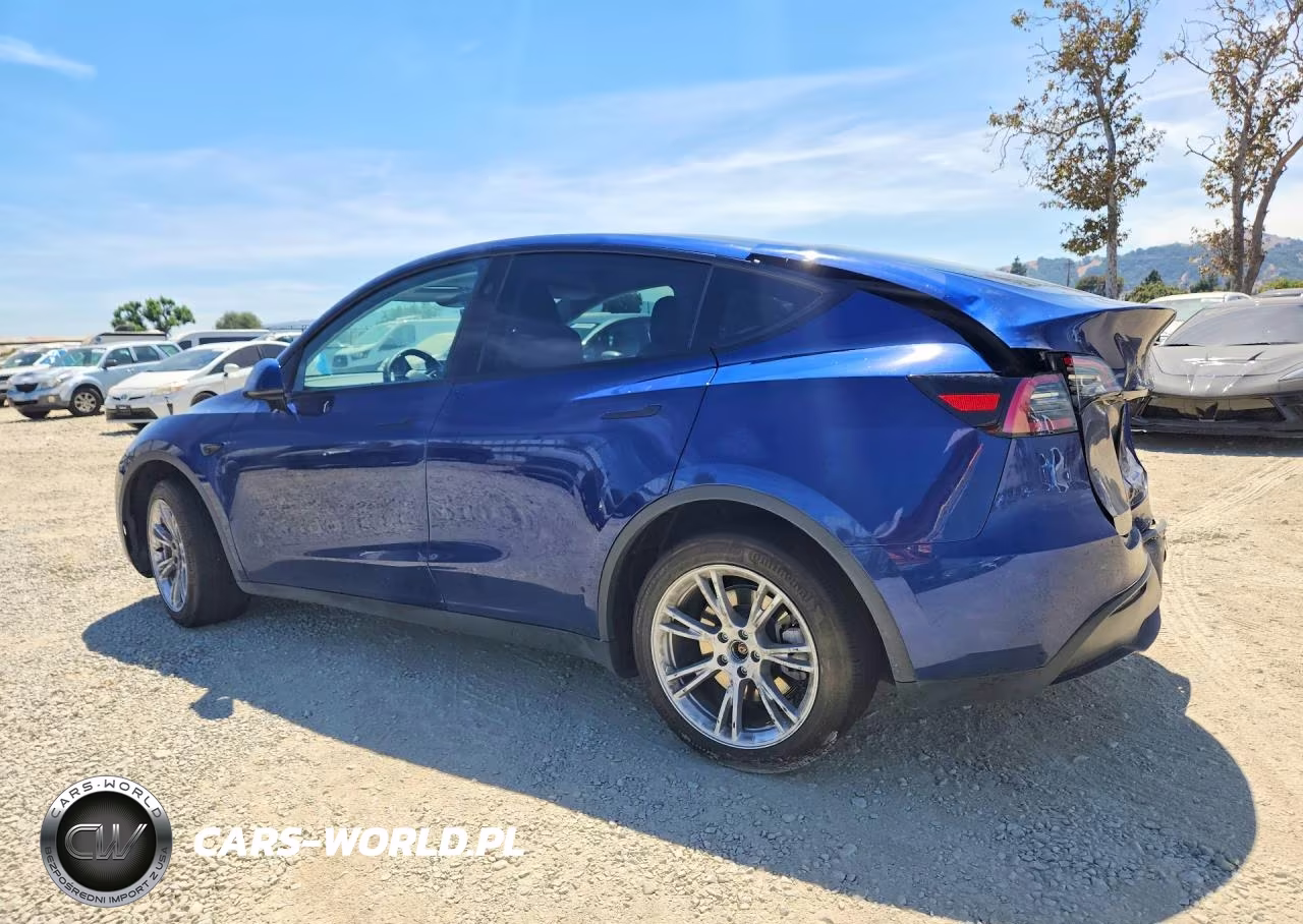 2023 Tesla Model Y VIN:7SAYGDED7PF976566 - 2