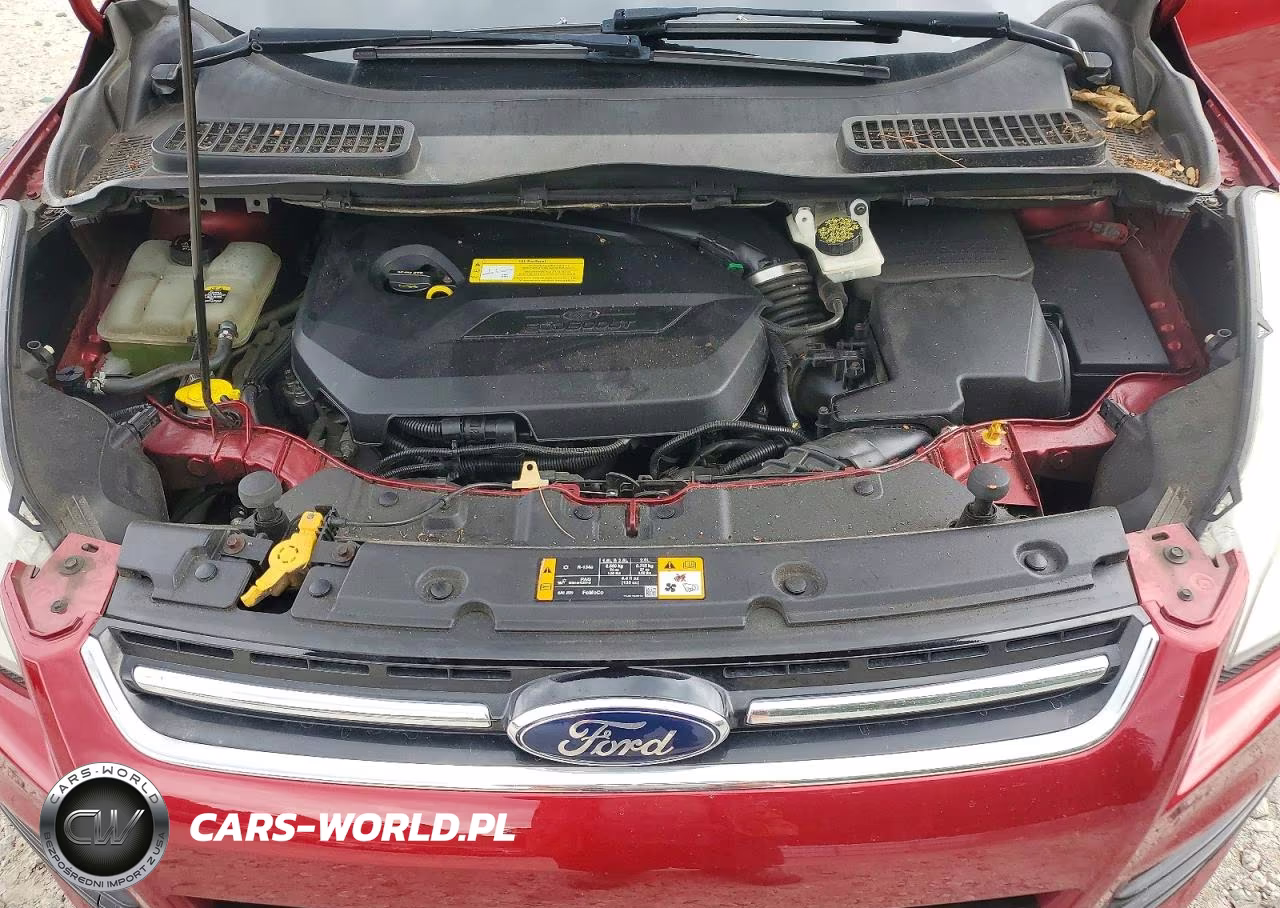 2013 Ford Escape Sel VIN:1FMCU0HX4DUB48925 - 12