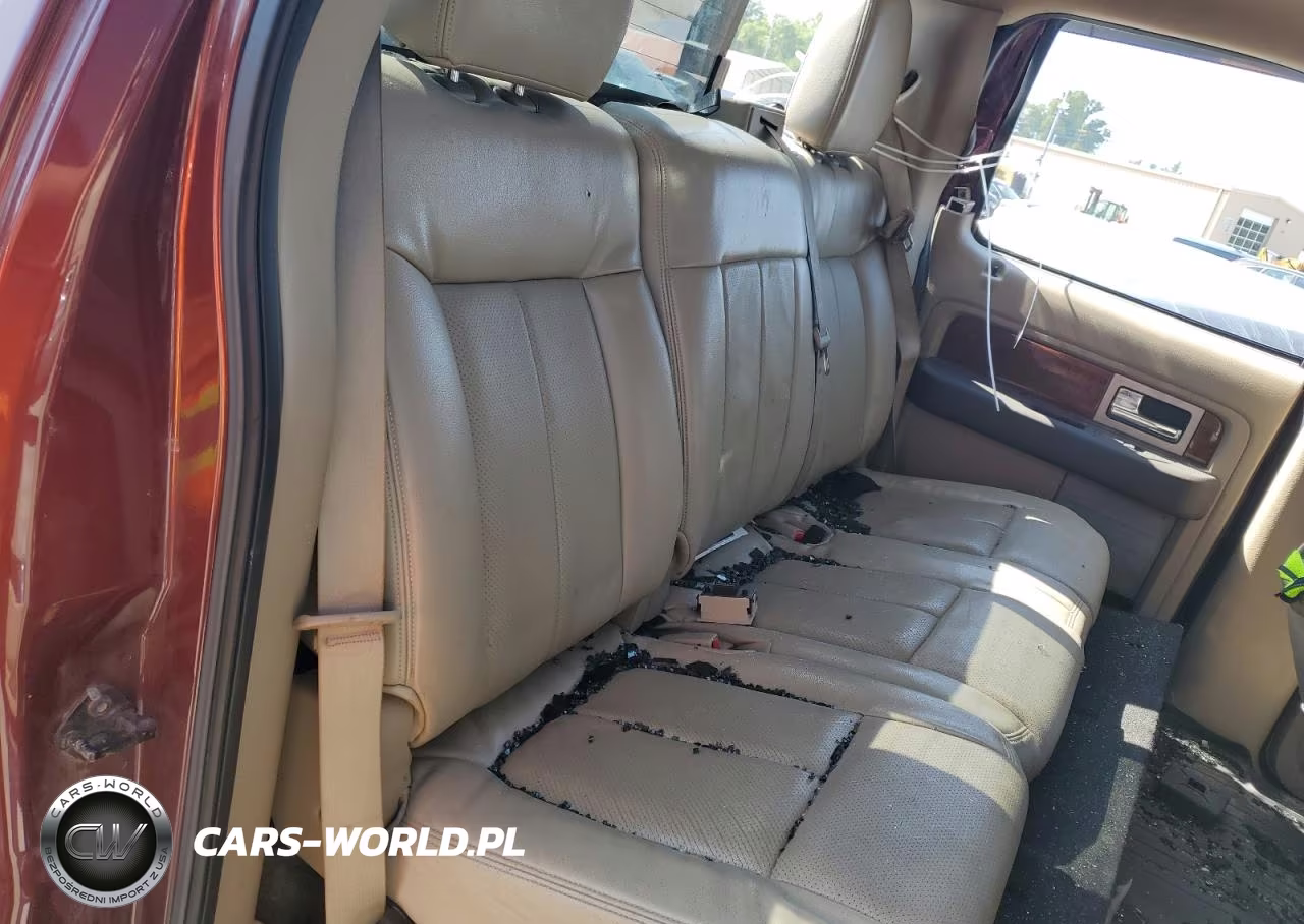 2010 Ford F150 Supercrew Supercrew VIN:1FTFW1EV8AFB35695 - 10
