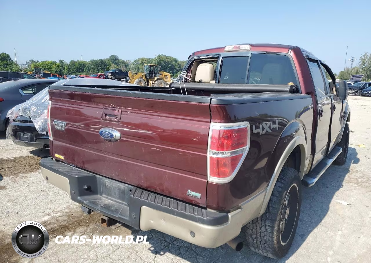 2010 Ford F150 Supercrew Supercrew VIN:1FTFW1EV8AFB35695 - 3