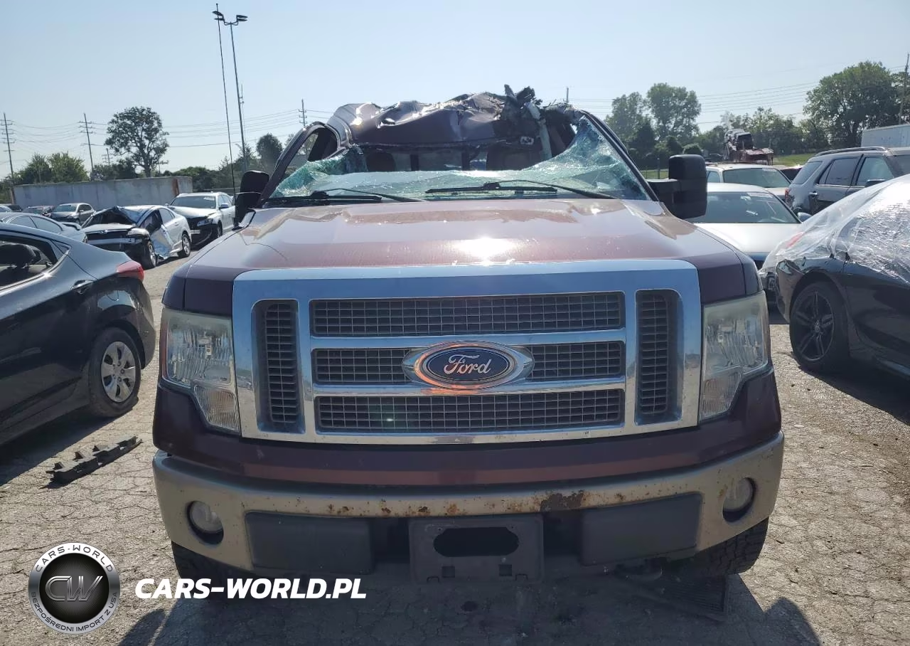 2010 Ford F150 Supercrew Supercrew VIN:1FTFW1EV8AFB35695 - 5