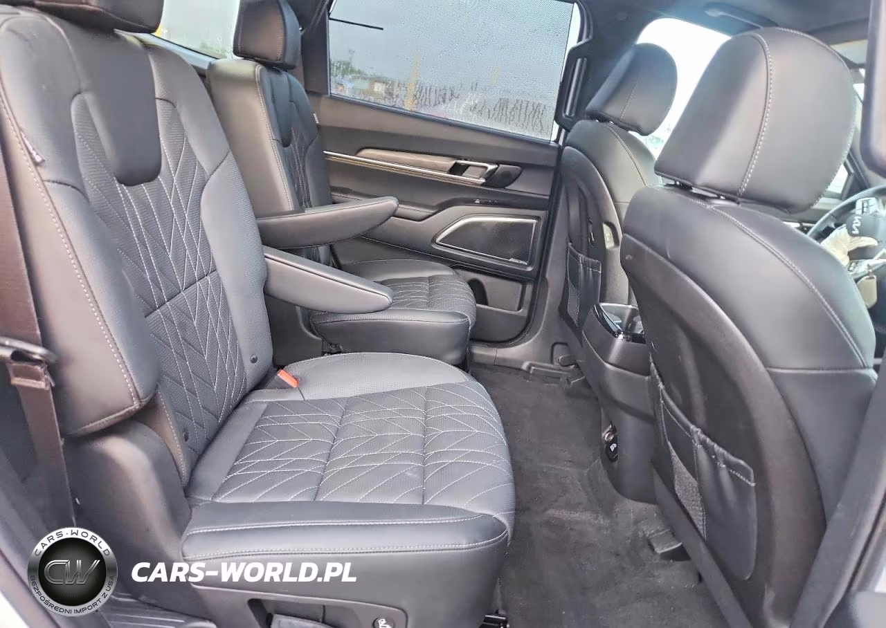 2024 Kia Telluride Sx-Prestige X-Pro VIN:5XYP5DGC3RG550467 - 11