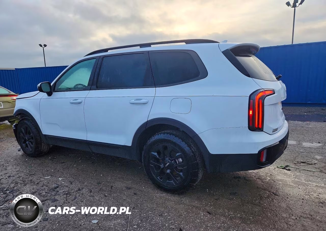 2024 Kia Telluride Sx-Prestige X-Pro VIN:5XYP5DGC3RG550467 - 2