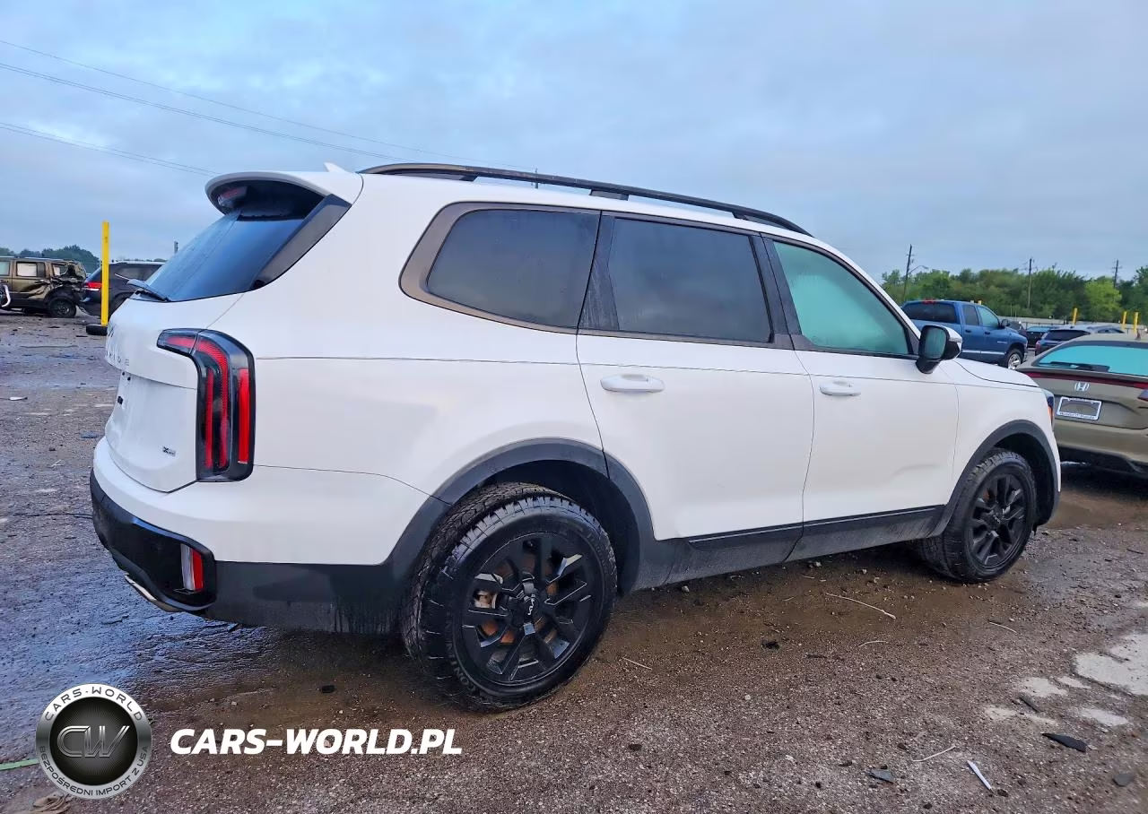 2024 Kia Telluride Sx-Prestige X-Pro VIN:5XYP5DGC3RG550467 - 3