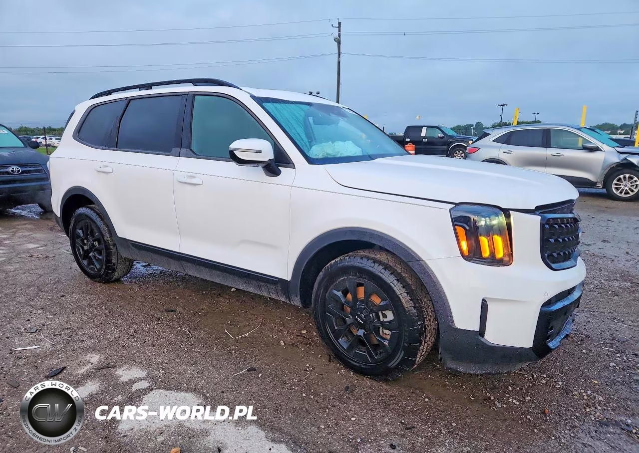 2024 Kia Telluride Sx-Prestige X-Pro VIN:5XYP5DGC3RG550467 - 4