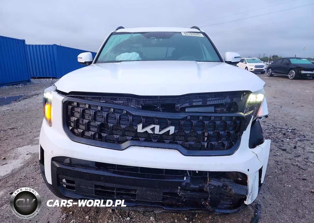 2024 Kia Telluride Sx-Prestige X-Pro VIN:5XYP5DGC3RG550467 - 5