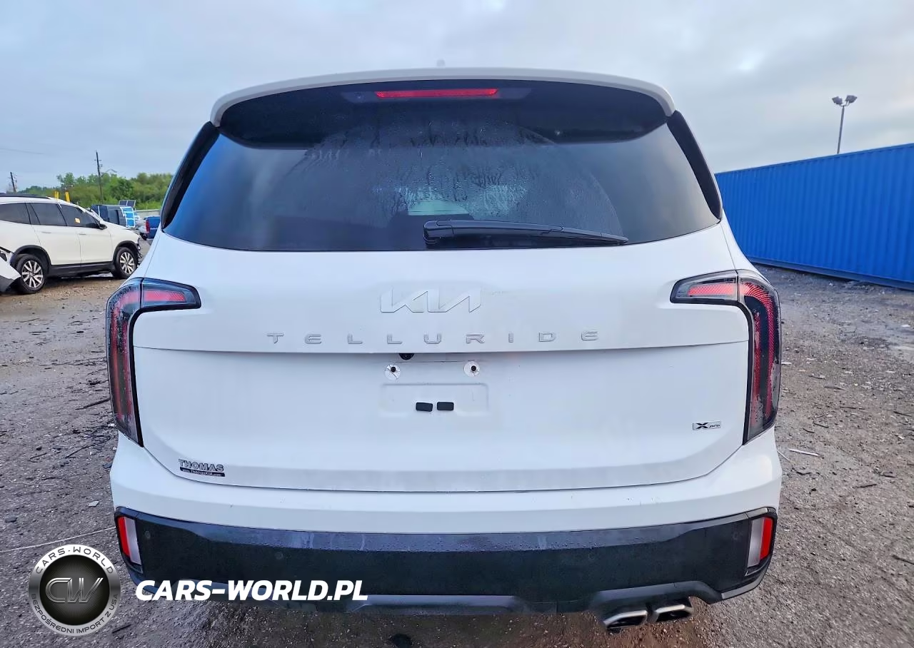 2024 Kia Telluride Sx-Prestige X-Pro VIN:5XYP5DGC3RG550467 - 6