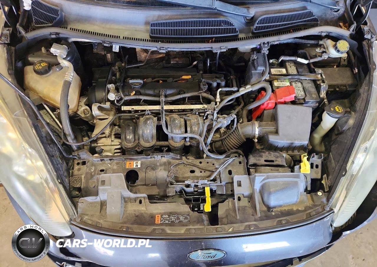 2016 Ford Fiesta Se VIN:3FADP4EJ8GM156239 - 11