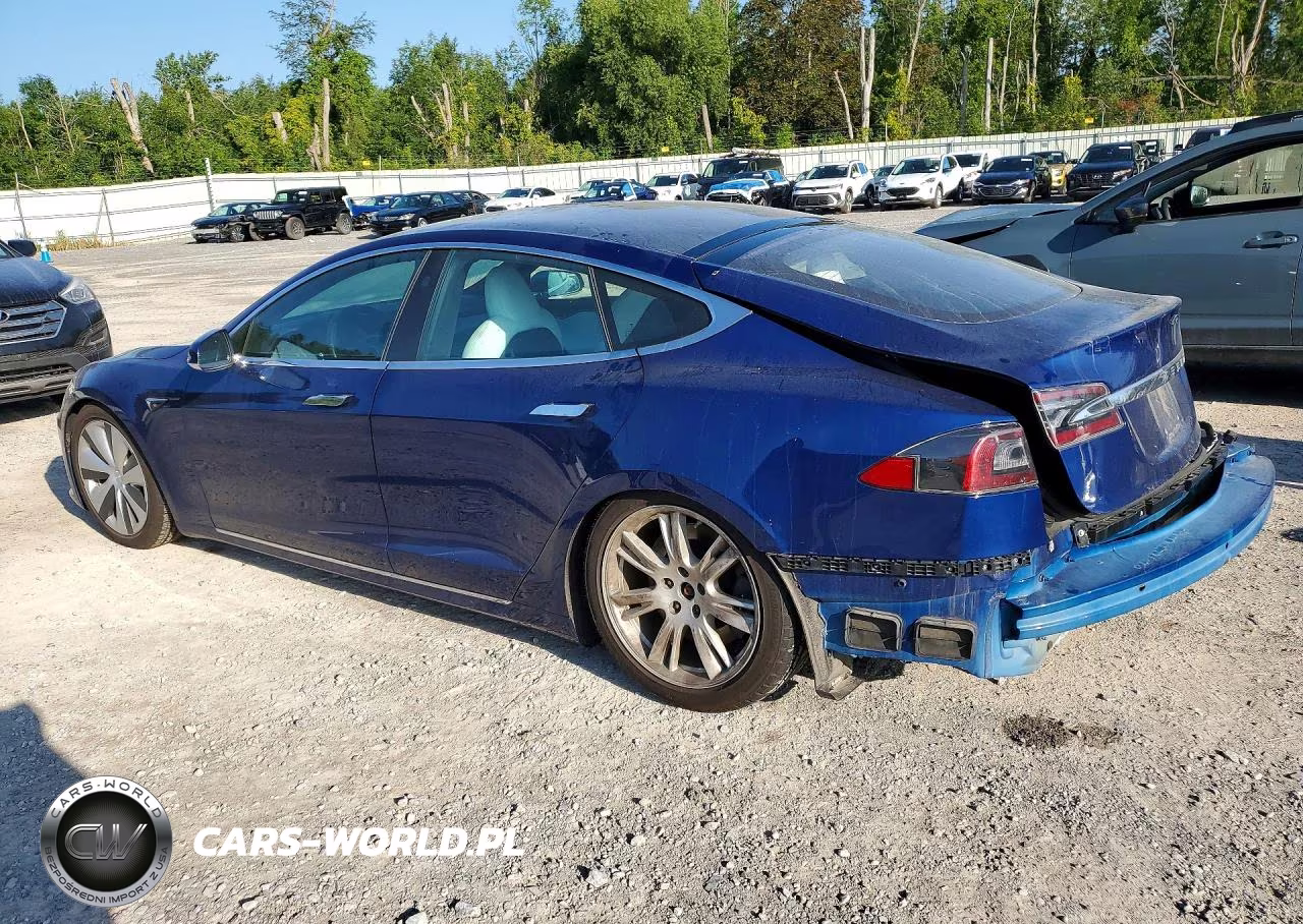 2020 Tesla Model S VIN:5YJSA1E27LF390333 - 2