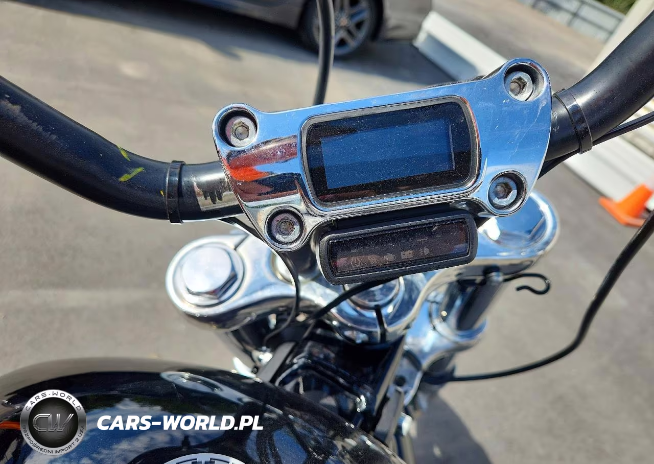 2022 Harley-Davidson Fxst VIN:1HD1BVJ16NB034635 - 7