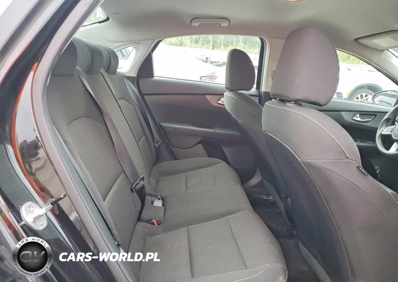 2019 Kia Forte Lxs VIN:3KPF24AD4KE124604 - 10