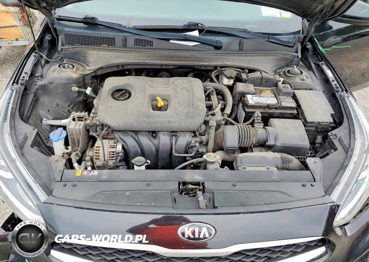 2019 Kia Forte Lxs VIN:3KPF24AD4KE124604 - 11