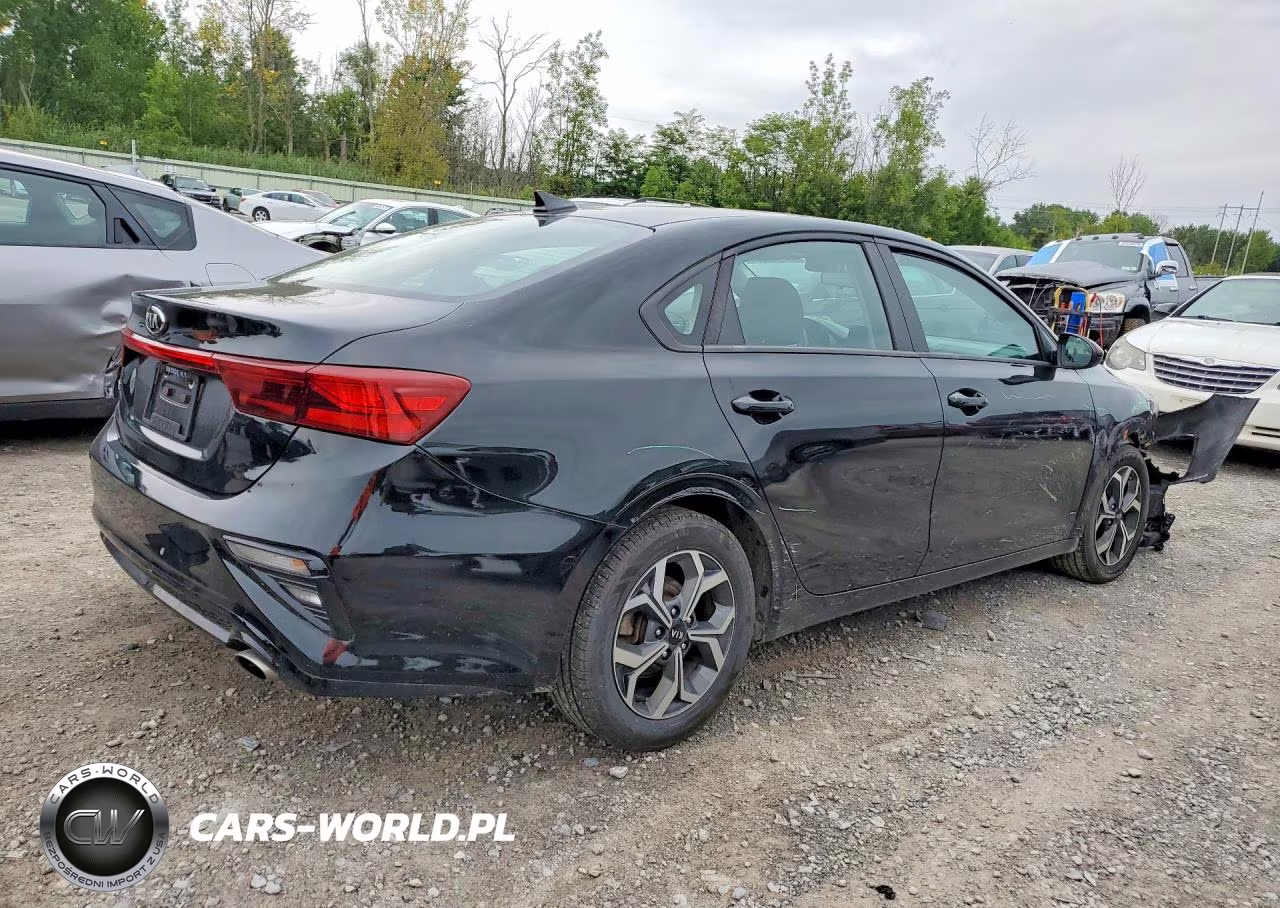 2019 Kia Forte Lxs VIN:3KPF24AD4KE124604 - 3