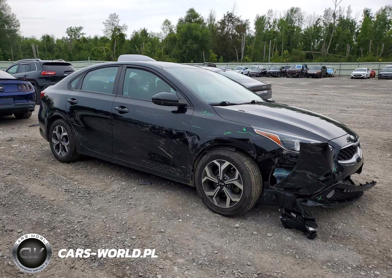 2019 Kia Forte Lxs VIN:3KPF24AD4KE124604 - 4