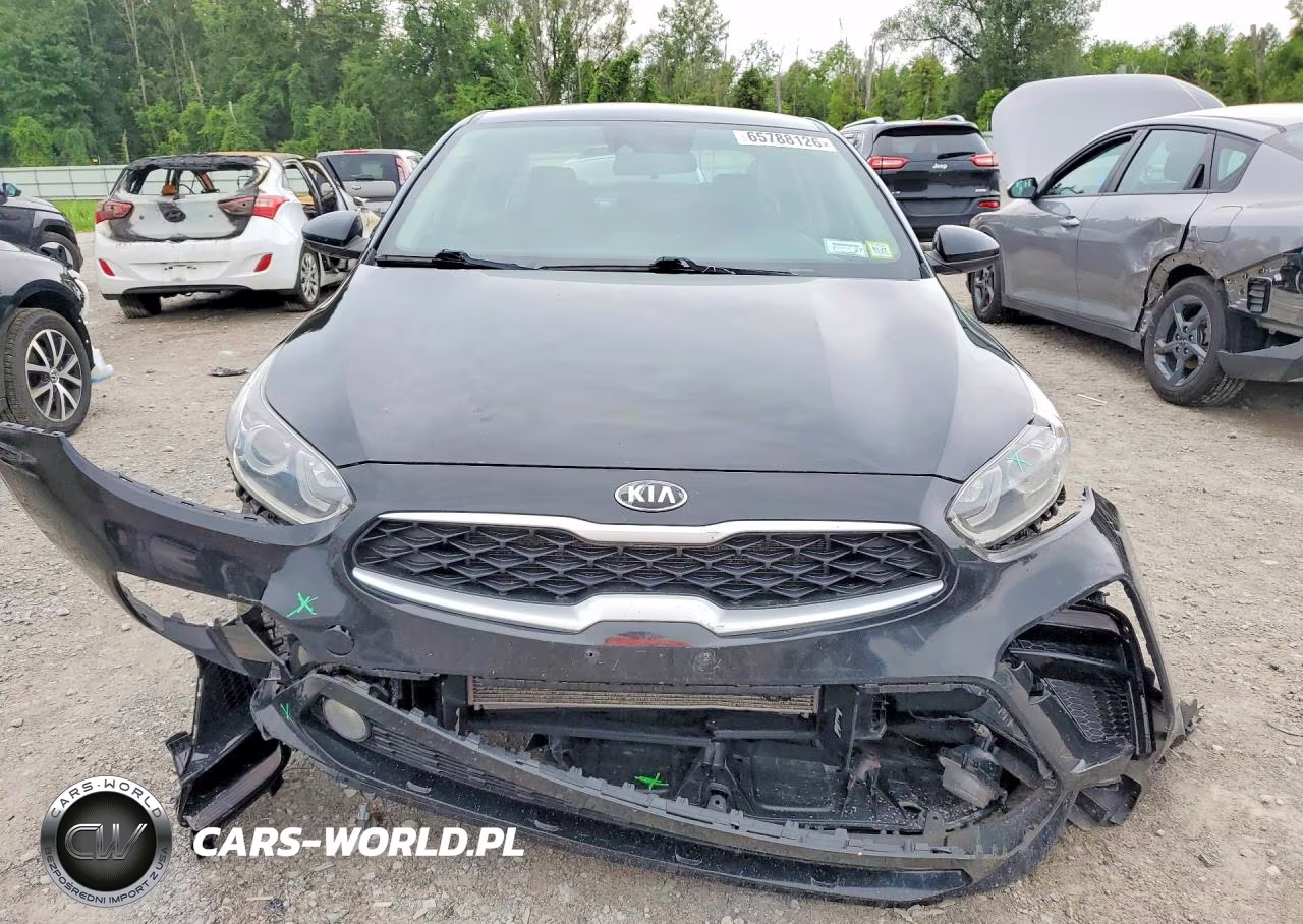 2019 Kia Forte Lxs VIN:3KPF24AD4KE124604 - 5
