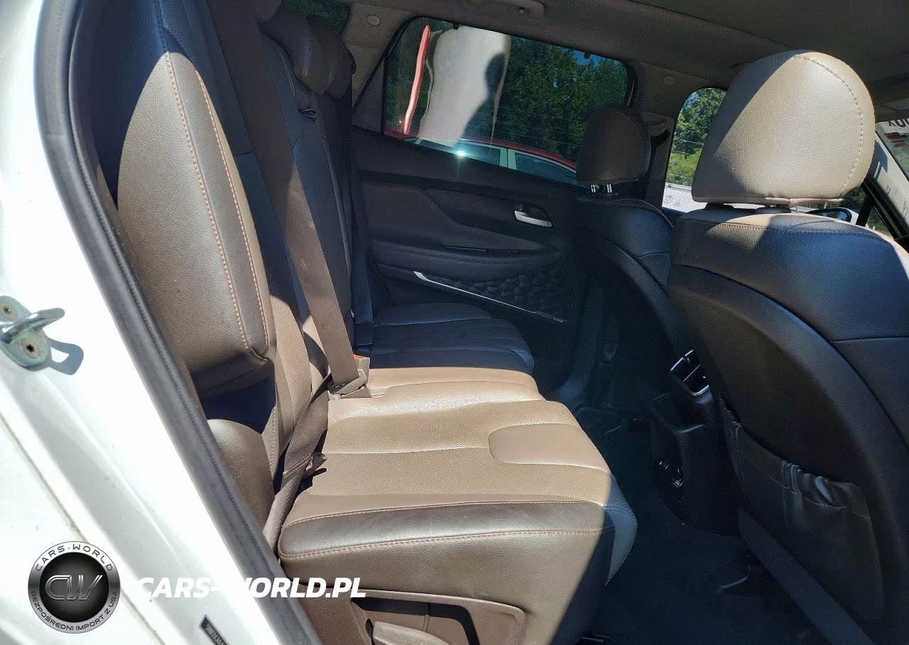 2019 Hyundai Santa Fe Limited 2.0T VIN:5NMS5CAA4KH037011 - 10