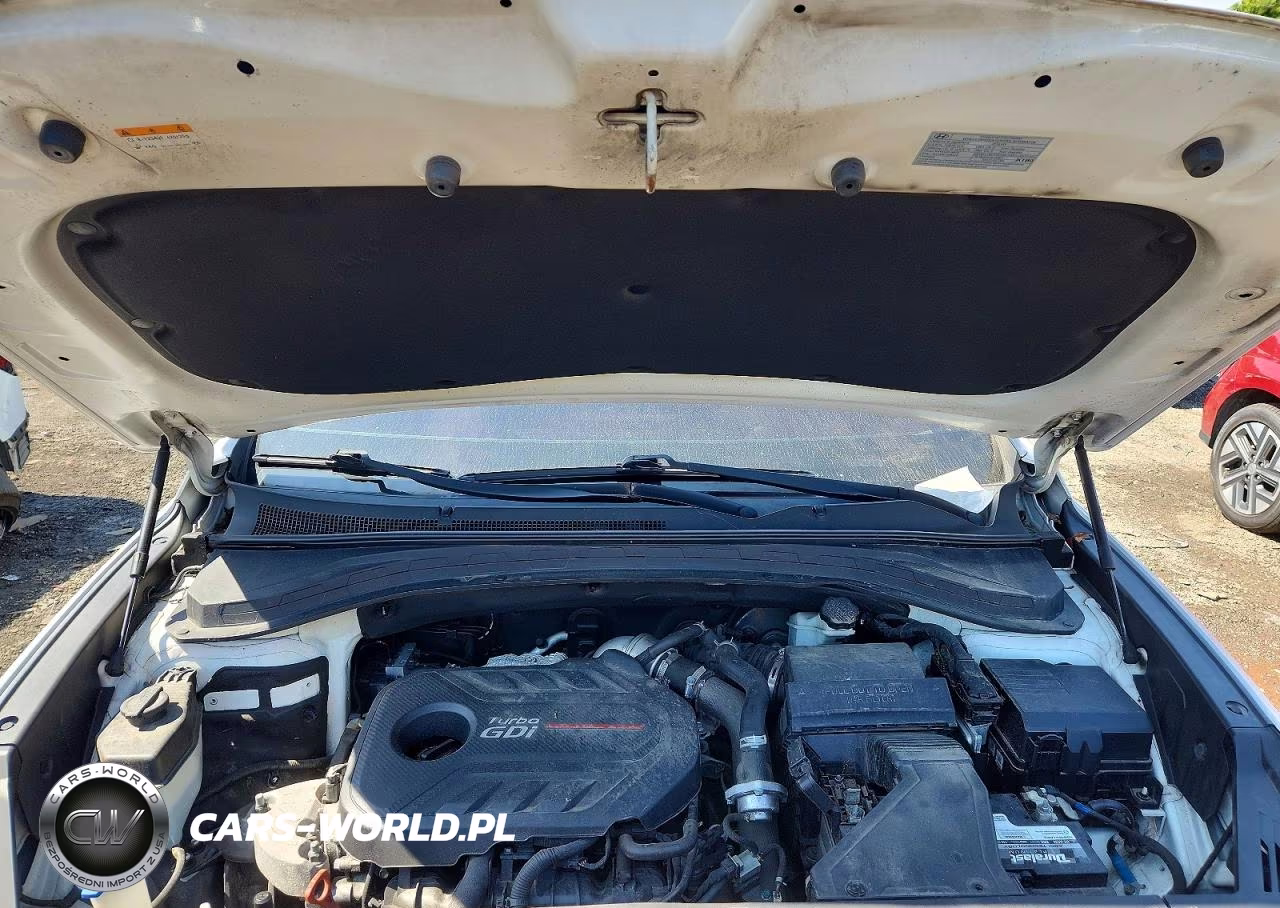 2019 Hyundai Santa Fe Limited 2.0T VIN:5NMS5CAA4KH037011 - 11