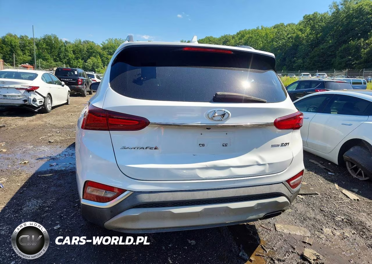 2019 Hyundai Santa Fe Limited 2.0T VIN:5NMS5CAA4KH037011 - 6