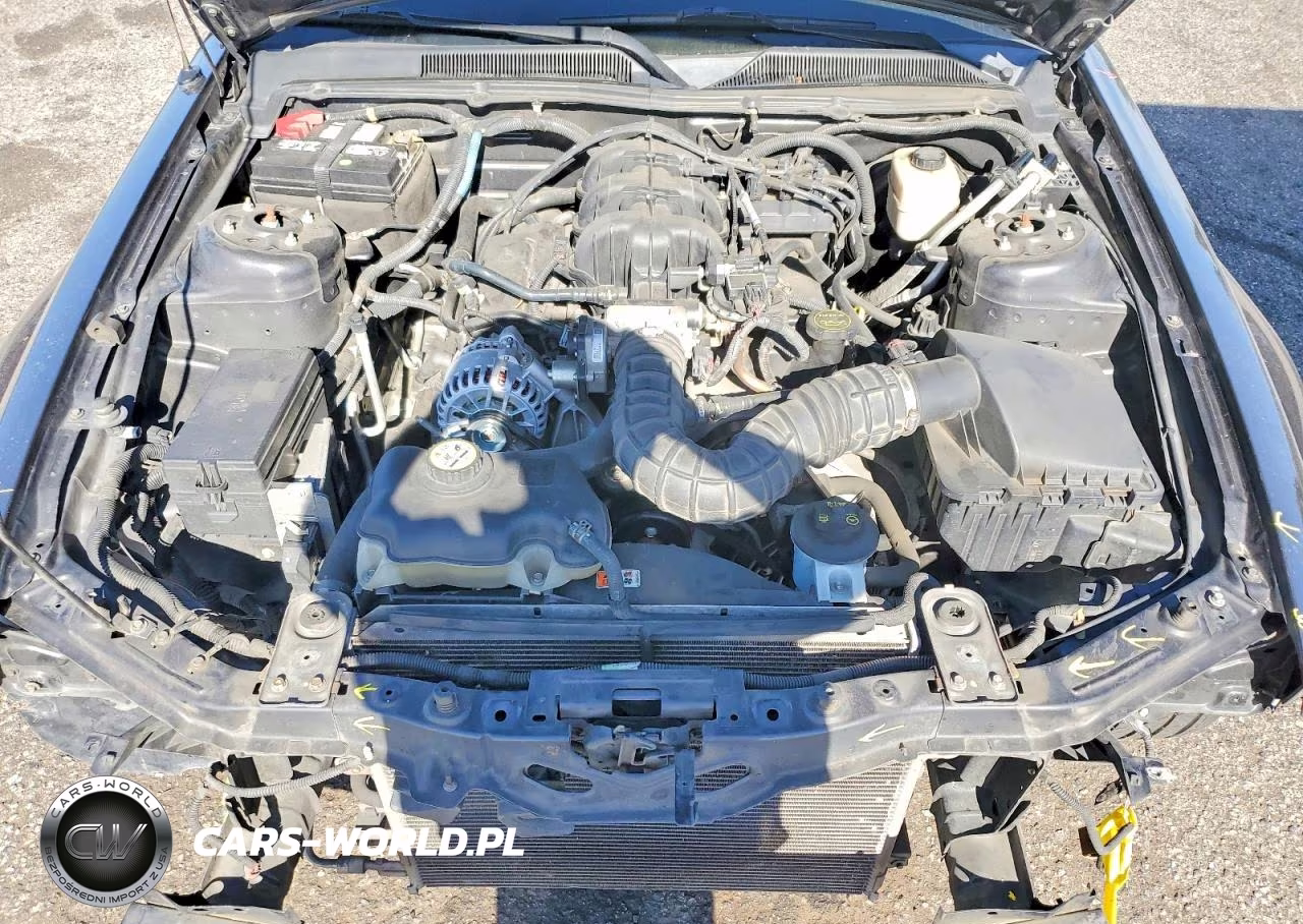 2007 Ford Mustang VIN:1ZVHT84N075282844 - 11