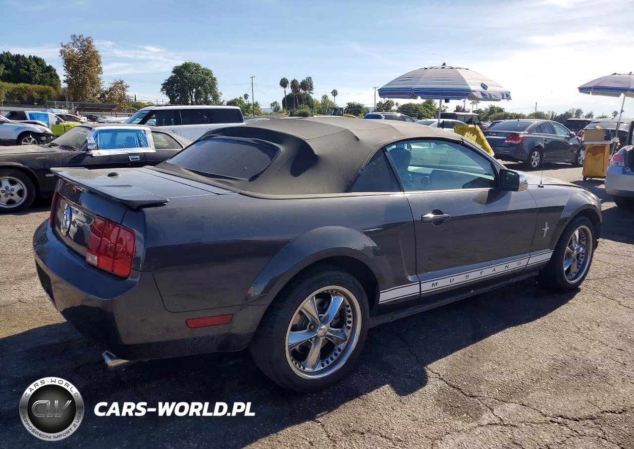 2007 Ford Mustang VIN:1ZVHT84N075282844 - 3