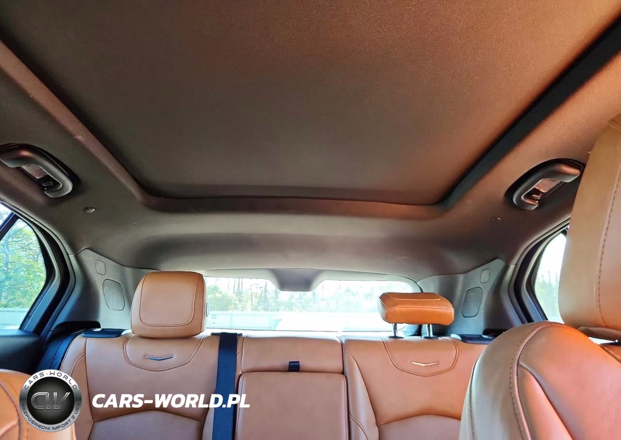2021 Cadillac Xt4 Premium Luxury VIN:1GYFZDR45MF076601 - 10