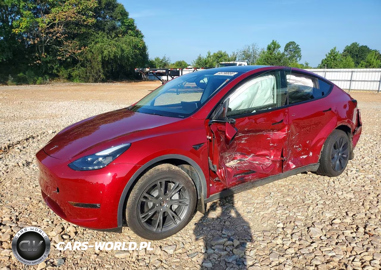 2025 Tesla Model Y VIN:7SAYGAEE4SF218085 - 1
