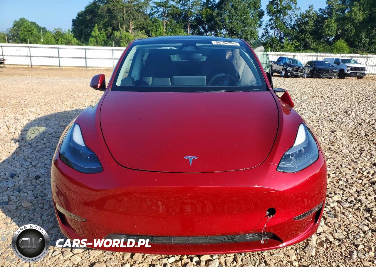 2025 Tesla Model Y VIN:7SAYGAEE4SF218085 - 5
