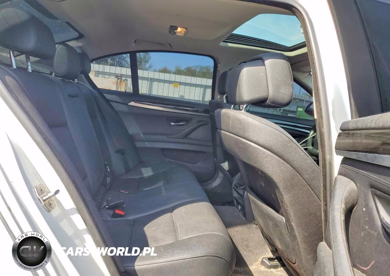 2013 BMW 528 I VIN:WBAXG5C50DD229966 - 10