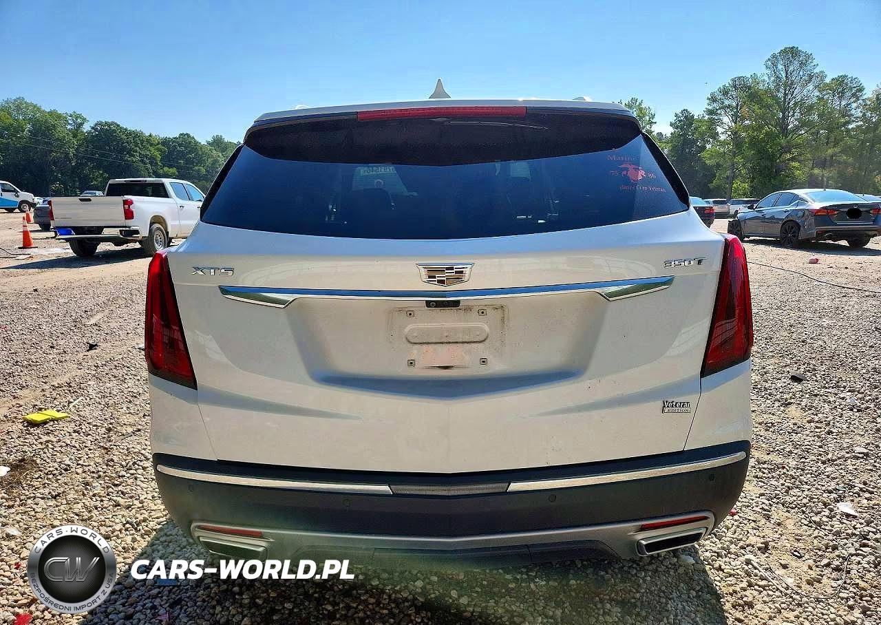 2020 Cadillac Xt5 Premium Luxury VIN:1GYKNCR42LZ211440 - 6
