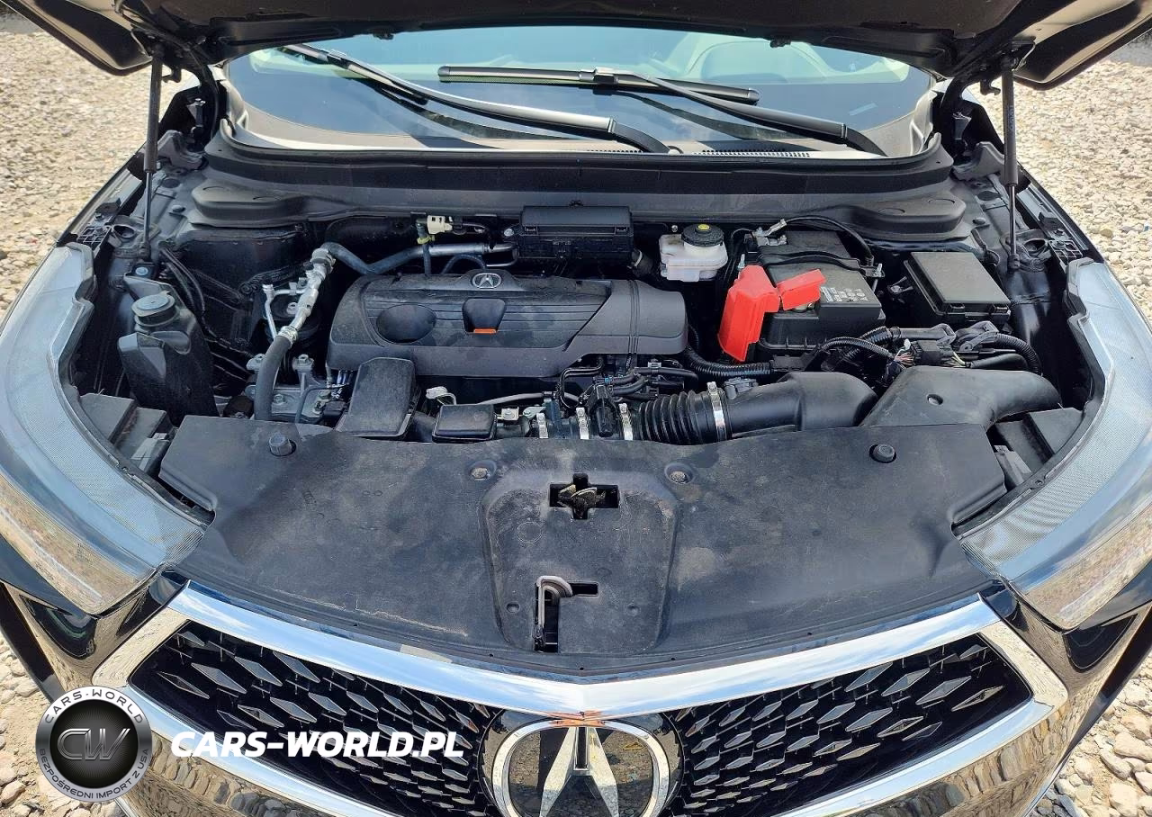 2024 Acura Rdx Advance VIN:5J8TC2H78RL019829 - 11